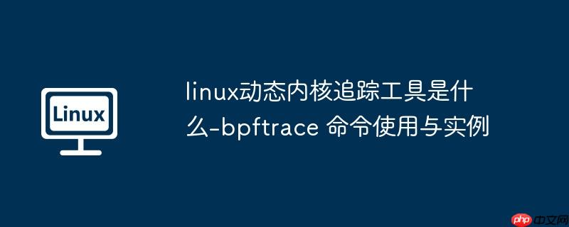 linux动态内核追踪工具是什么-bpftrace 命令使用与实例