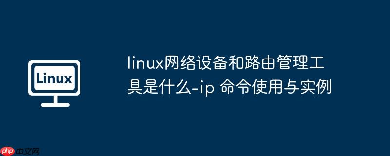 linux网络设备和路由管理工具是什么-ip 命令使用与实例