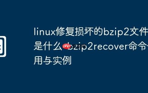 linux修复损坏的bzip2文件是什么-bzip2recover命令使用与实例
