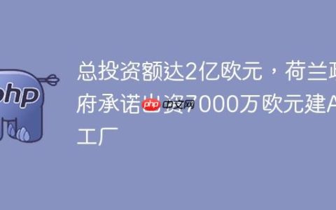 总投资额达2亿欧元，荷兰政府承诺出资7000万欧元建AI工厂