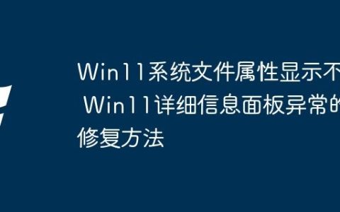 Win11系统文件属性显示不全 Win11详细信息面板异常的修复方法