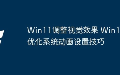 Win11调整视觉效果 Win11优化系统动画设置技巧