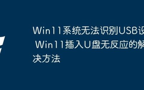 Win11系统无法识别USB设备 Win11插入U盘无反应的解决方法
