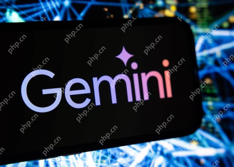Gemini支持时间悖论解析吗 Gemini因果律维护引擎