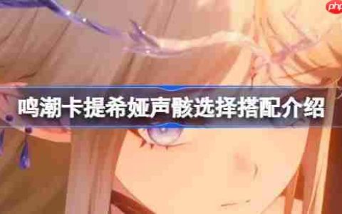 鸣潮卡提希娅声骸选择搭配介绍-鸣潮卡提希娅声骸该怎么选择
