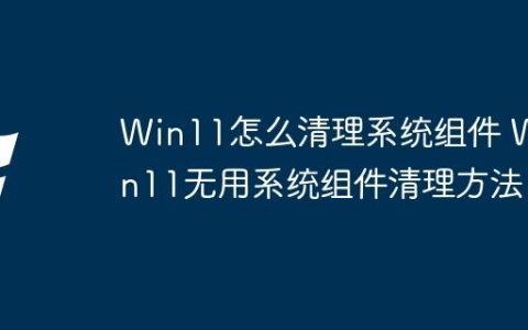 Win11怎么清理系统组件 Win11无用系统组件清理方法