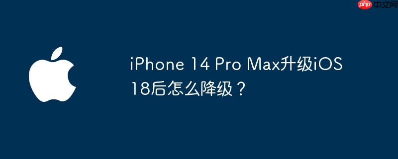 iphone 14 pro max升级ios 18后怎么降级? - 创想鸟