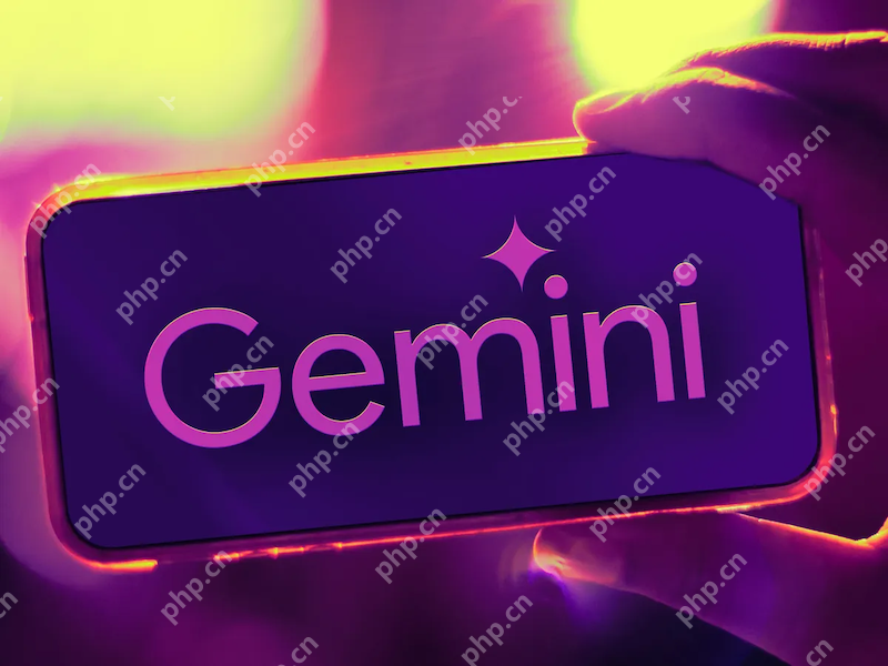 Gemini本地模型缓存清理 Gemini临时文件管理指南 - 创想鸟