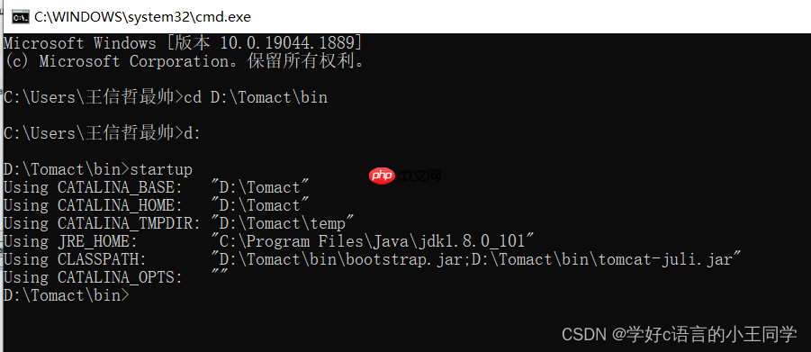 猿创征文| JAVA Web的环境部署