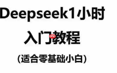 如何在iPhone上完成DeepSeek安装