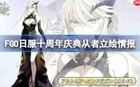 FGO日服十周年庆典从者立绘怎么样-FGO日服十周年庆典从者立绘情报
