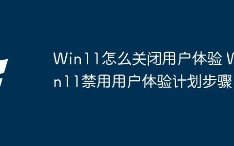 Win11怎么关闭用户体验 Win11禁用用户体验计划步骤
