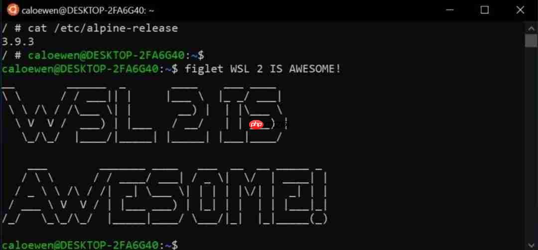 Linux 正在吞噬 Windows 和 Chrome OS!