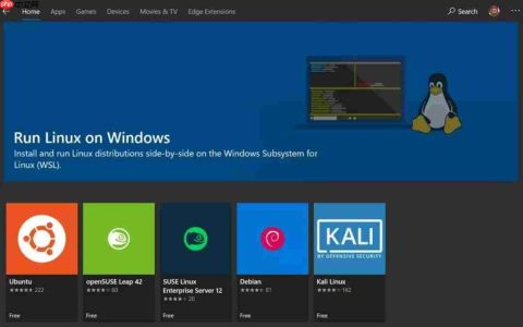 Linux 正在吞噬 Windows 和 Chrome OS！