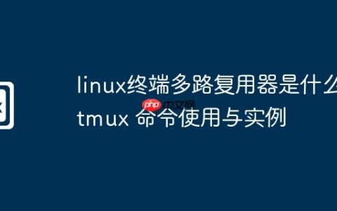 linux终端多路复用器是什么-tmux 命令使用与实例