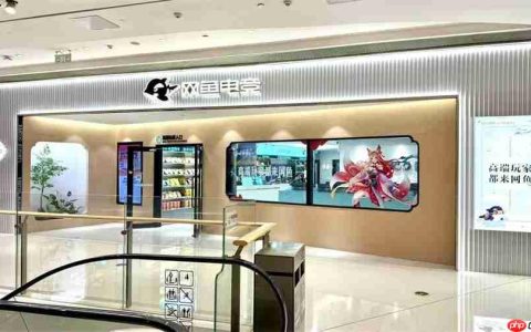 玩出梦想科技与网鱼电竞达成深度合作，共同打造MR线下娱乐新场景