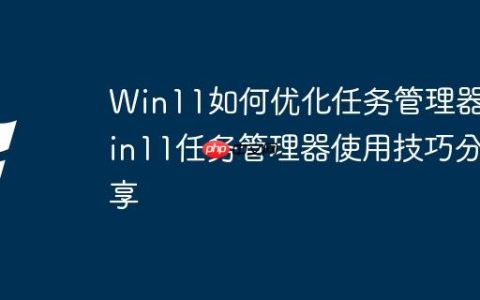 Win11如何优化任务管理器 Win11任务管理器使用技巧分享