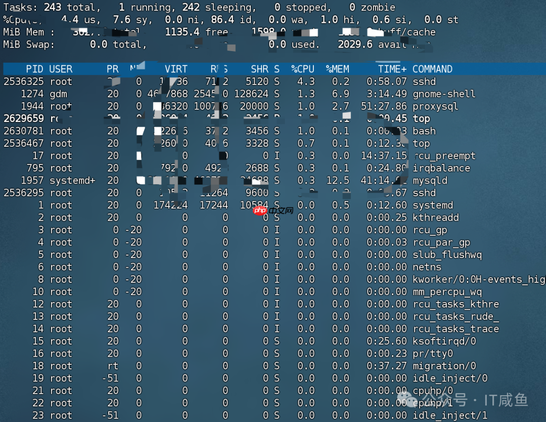 Linux 系统监控工具全攻略：top、htop、iotop、netstat，实时掌握你的服务器状态