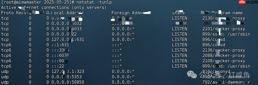 Linux 系统监控工具全攻略：top、htop、iotop、netstat，实时掌握你的服务器状态