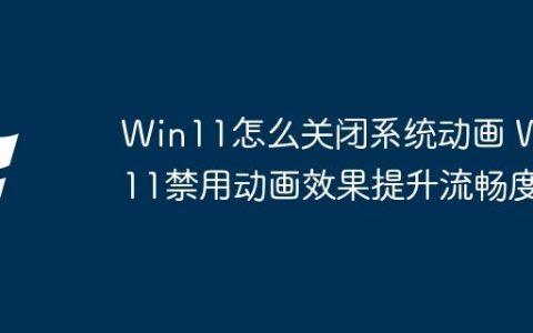 Win11怎么关闭系统动画 Win11禁用动画效果提升流畅度