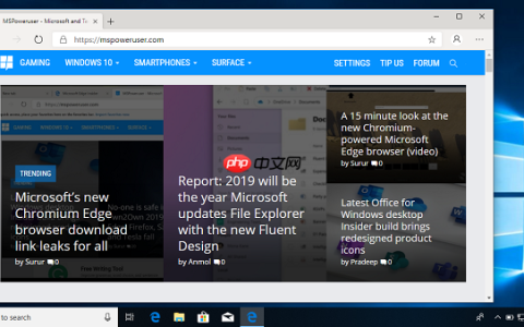 Win10 Edge Canary可阻止网站自动播放视频