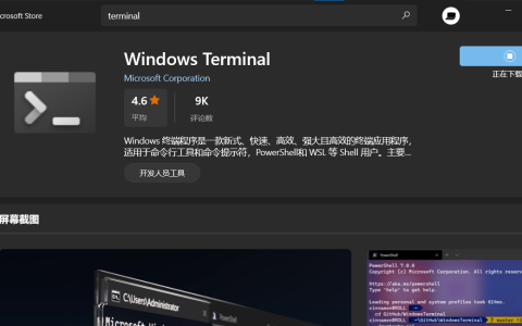 Windows Terminal好处多多