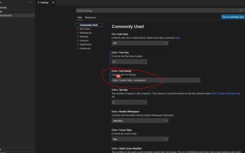 vscode设置字体大小和字体_vscode snippet
