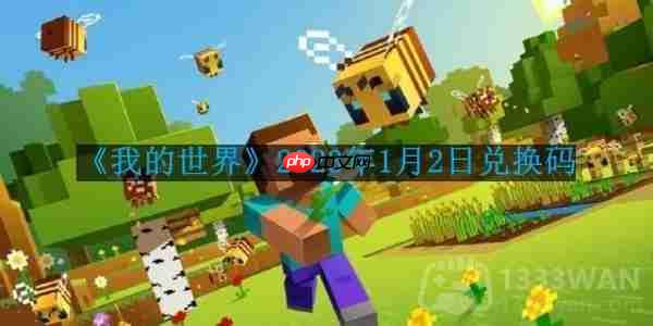 我的世界2023年1月2日有哪些兑换码-2023年1月2日兑换码