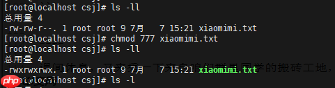 Java岗大厂面试百日冲刺 – 日积月累，每日三题【Day21】—— Linux命令