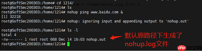 Java岗大厂面试百日冲刺 - 日积月累,每日三题【Day21】—— Linux命令