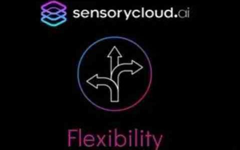 Introducing SensoryCloud.ai:  Flexibility
