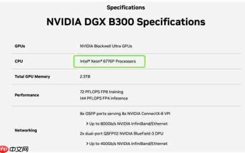 为什么选英特尔至强6776P做DGXB300的主控CPU？