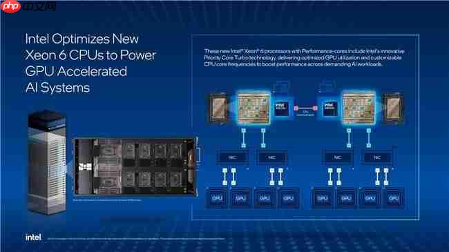 为什么选英特尔至强6776P做DGXB300的主控CPU?