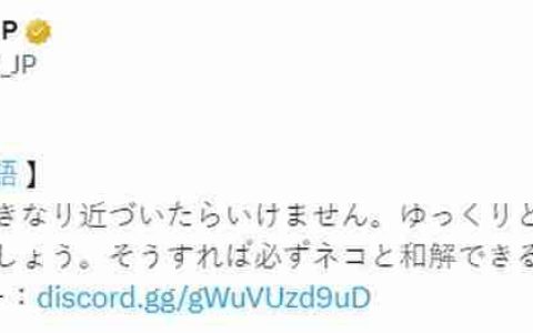 《昭和米国物语》官方暗示游戏能撸猫 放松心情