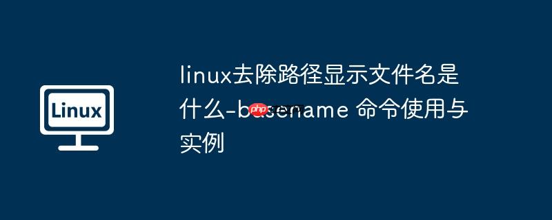 linux去除路径显示文件名是什么-basename 命令使用与实例