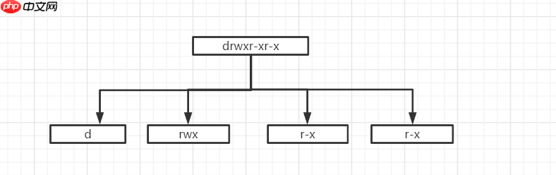 linux rwx 权限「建议收藏」