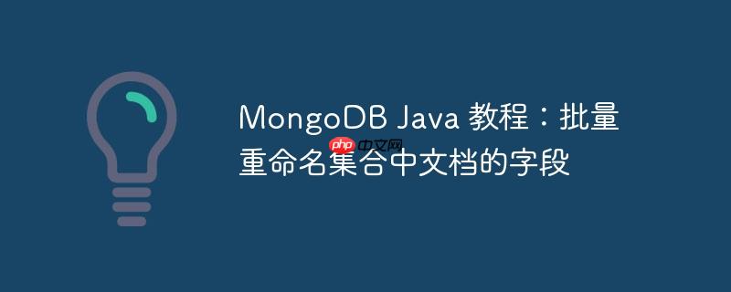 MongoDB Java 教程:批量重命名集合中文档的字段