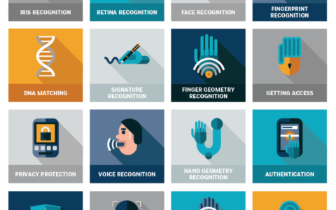 Assessing Biometric Authentication -A Holistic Approach