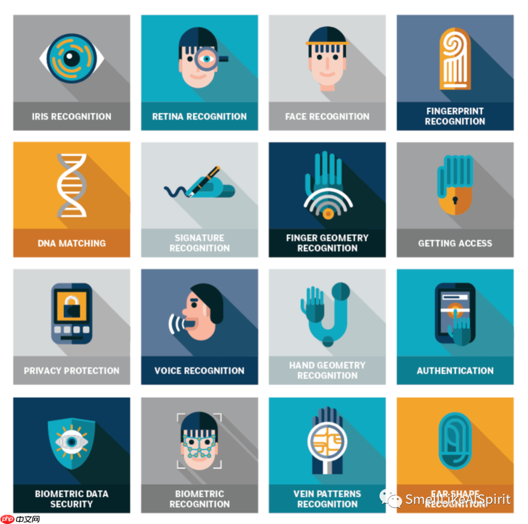 Assessing Biometric Authentication -A Holistic Approach