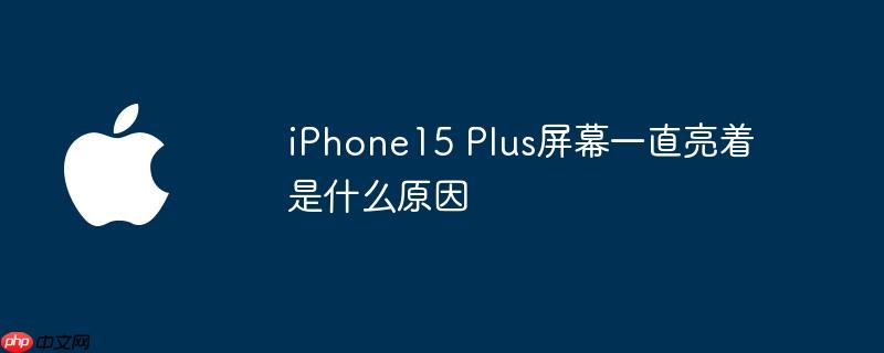iPhone15 Plus屏幕一直亮着是什么原因