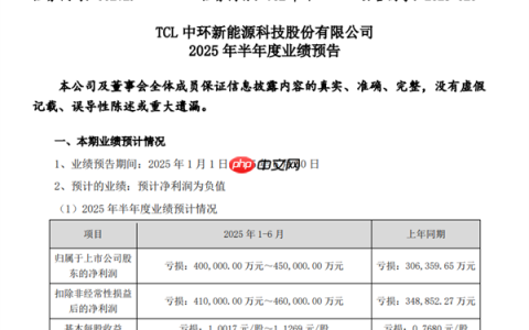 光伏至暗时刻：TCL中环预计上半年净亏损超40亿元