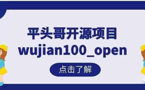 平头哥开源项目wujian100_open | 基于VCS+Verdi的仿真