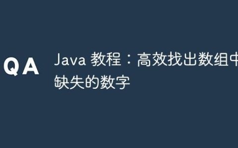 Java 教程：高效找出数组中缺失的数字
