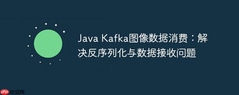 Java Kafka图像数据消费:解决反序列化与数据接收问题