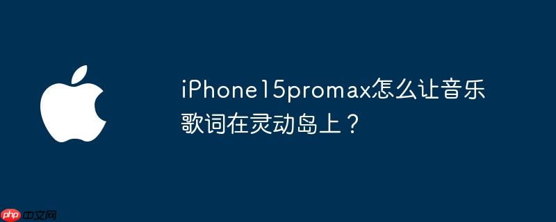 iphone15promax怎么让音乐歌词在灵动岛上?