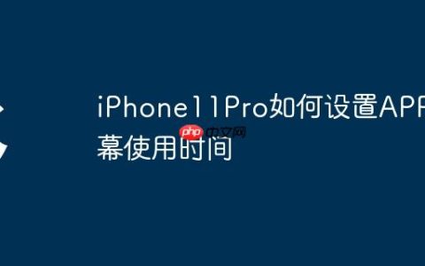 iPhone11Pro如何设置APP屏幕使用时间