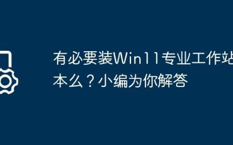 有必要装Win11专业工作站版本么？小编为你解答
