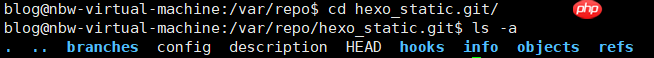 Hexo部署至服务器(Ubuntu 20.04)