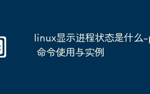 linux显示进程状态是什么-ps 命令使用与实例