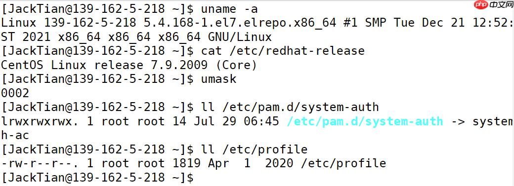 在线运行 Linux，强的离谱！